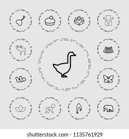 Beautiful icon. collection of 13 beautiful outline icons such as bear, butterfly, goose, baby, woman hairstyle, flower, skirt. editable beautiful icons for web and mobile.