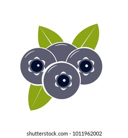 Beautiful Icon with violet blueberry and leaves on white background. Flat Vector Illustration