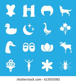 Beautiful icons set. set of 16 beautiful filled icons such as moose, goose, wolf, beetle, bridge, duck, baby shoes, woman hairstyle, lotus, flower, corset, bouquet flower