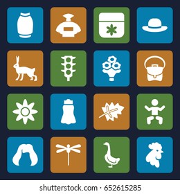 Beautiful icons set. set of 16 beautiful filled icons such as leaf, goose, rooster, rabbit, baby, perfume, flower, hairstyle, bag, skirt, woman hat, traffic light