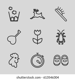 Beautiful icons set. set of 9 beautiful outline icons such as rooster, deer, beetle, baby shoes, hair brush, stopwatch, heart key, flower