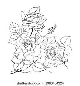 beautiful illuatration art flower black 