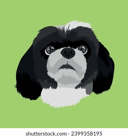 Beautiful illustrated shihtzu puppy dog