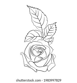 beautiful illustration art flower black