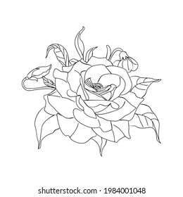 beautiful illustration art flower black