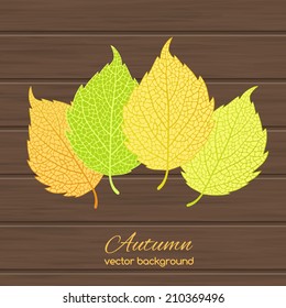 Beautiful  illustration  with autumn leaves on wooden background