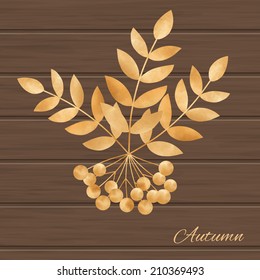 Beautiful  illustration  with autumn leaves  and rowan-berry