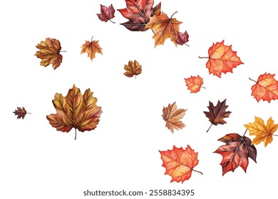 Beautiful illustration of autumn leaves in various colors and shapes, perfect for seasonal designs, invitations, and decorations. Captures the essence of fall with vibrant and detailed leaf patterns.