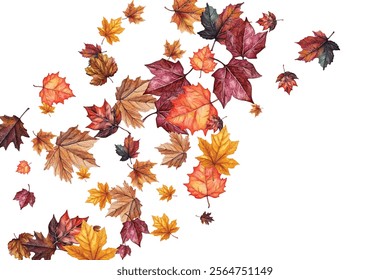 Beautiful illustration of autumn leaves in various colors and shapes, perfect for seasonal designs, invitations, and decorations. Captures the essence of fall with vibrant and detailed leaf patterns.