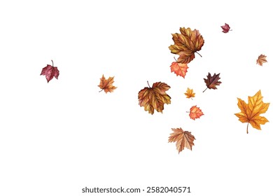 Beautiful illustration of autumn leaves in various colors and shapes, perfect for seasonal designs, invitations, and decorations. Captures the essence of fall with vibrant and detailed leaf patterns.
