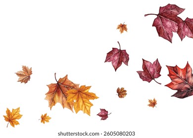 Beautiful illustration of autumn leaves in various colors and shapes, perfect for seasonal designs, invitations, and decorations. Captures the essence of fall with vibrant and detailed leaf patterns.