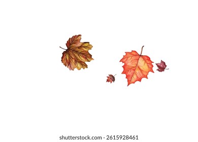 Beautiful illustration of autumn leaves in various colors and shapes, perfect for seasonal designs, invitations, and decorations. Captures the essence of fall with vibrant and detailed leaf patterns.