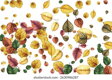 Beautiful illustration of autumn leaves in vibrant shades, perfect for seasonal designs, nature-themed projects, and artistic backgrounds. Add a touch of natural beauty and elegance to your work.