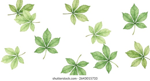 Beautiful illustration of autumn leaves in vibrant shades, perfect for seasonal designs, nature-themed projects, and artistic backgrounds. Add a touch of natural beauty and elegance to your work.