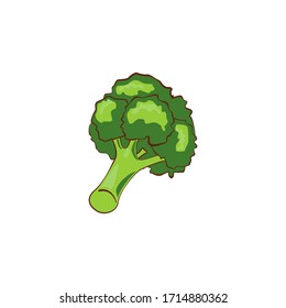 Beautiful illustration of broccoli vector, healthy food illustration