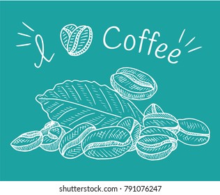 Beautiful illustration of coffee beans