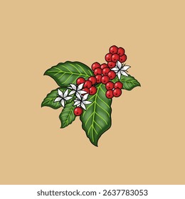 Beautiful Illustration of Coffee Plant with Berries and Flowers