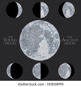 Beautiful illustration Different stages of moonlight activity, vintage style. Phases of the moon. Science Of Astrology. Full Lunar cycle. Hand drawn icon. Design background for fashion print