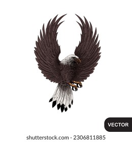 Beautiful illustration of eagle. Flying eagle illustration picture