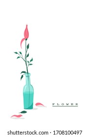 Beautiful illustration of the flower in the bottle. Flat style picture for greeting cards. Isolated illustration on white background. The pink rose in the blue bottle. Idea for decorative poster