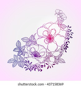 A beautiful illustration of a flowering wild rose drawn in ink and Liner on a bright pink background. Vector illustration.