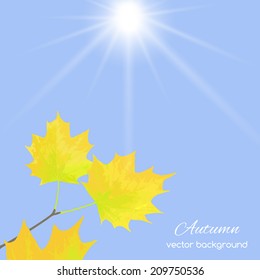 Beautiful  illustration  with gold autumn leaves  against the sky