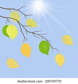 Beautiful  illustration  with gold autumn leaves  against the sky