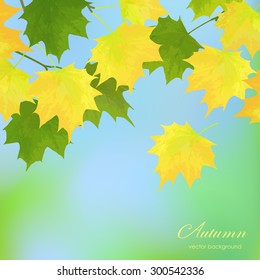 Beautiful  illustration  with hand drawing autumn leaves on blue  background .  Perfect  cards for any  kind of design, birthday and other holiday