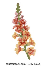 beautiful illustration of Hand Painted flower Wild 