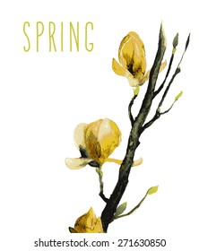 beautiful illustration Hand Painted Watercolor of Magnolia flowers.