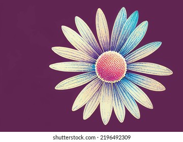 A beautiful illustration of an isolated daisy on a purple background. 