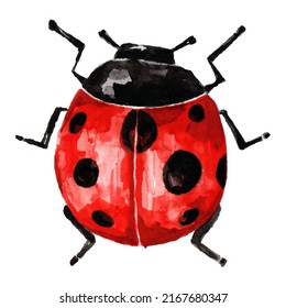 beautiful illustration isolated ladybug on a white background watercolor painted by hand art for wallpaper. Vector cartoon animals