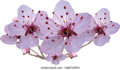 Beautiful Illustration of a low poly Cherry Blossom Branch