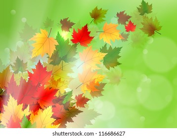 Beautiful illustration of maple leaves blowing in the wind and sun rays coming through.