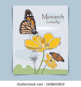 Beautiful illustration of monarch butterfly in yellow flowers, card or cover template, vector illustration, vector Eps 10