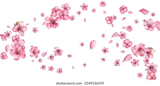 Beautiful illustration of pink cherry blossoms and petals on a white background. Perfect for spring-themed designs, invitations, and decor. 