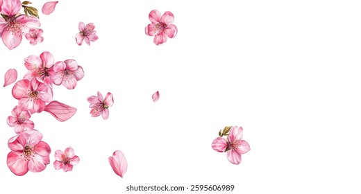 Beautiful illustration of pink cherry blossoms and petals on a white background. Perfect for spring-themed designs, invitations, and decor. 