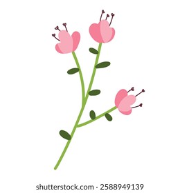 Beautiful illustration of a pink spring flower with leaves and buds on a white background. For postcards, posters, stickers. Spring-Summer