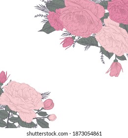 beautiful illustration of rosa rugosa, sweetbrier drawing