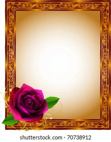 beautiful illustration of the rose