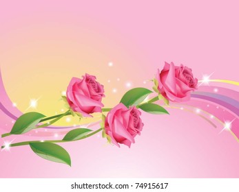 beautiful illustration of the rose
