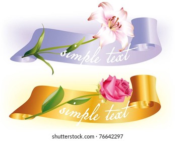 beautiful illustration of the rose