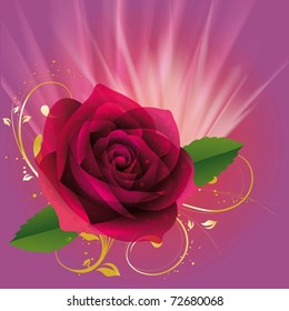beautiful illustration of the roses