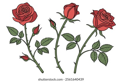 Beautiful Illustration of Three Red Roses with Green Leaves and Buds, Set Against a White Background.