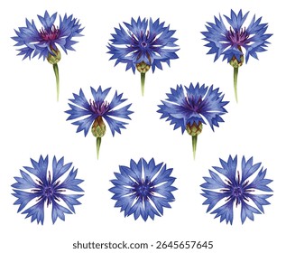 Beautiful  illustration of various blue flowers and buds, perfect for adding a touch of elegance and nature to any design project. Ideal for invitations, greeting cards, and home decor.