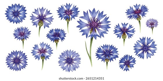 Bela ilustração de várias flores e botões azuis, perfeito para adicionar um toque de elegância e natureza a qualquer projeto de design. Ideal para convites, cartões de felicitações e decoração de casa.