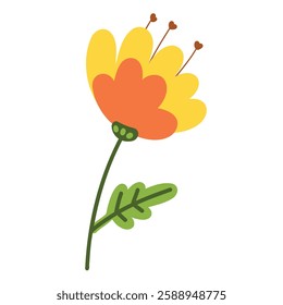 Beautiful illustration of a yellow and orange spring flower with leaves and buds on a white background. For postcards, posters, stickers. Spring-Summer