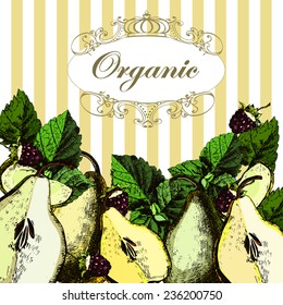 Beautiful illustrations with organic pears. Vector.