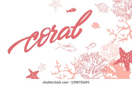 Beautiful images of corals, algae and fish.