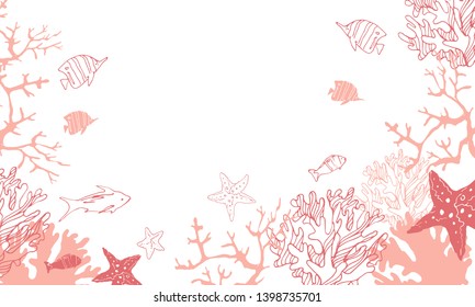Beautiful images of corals, algae and fish.